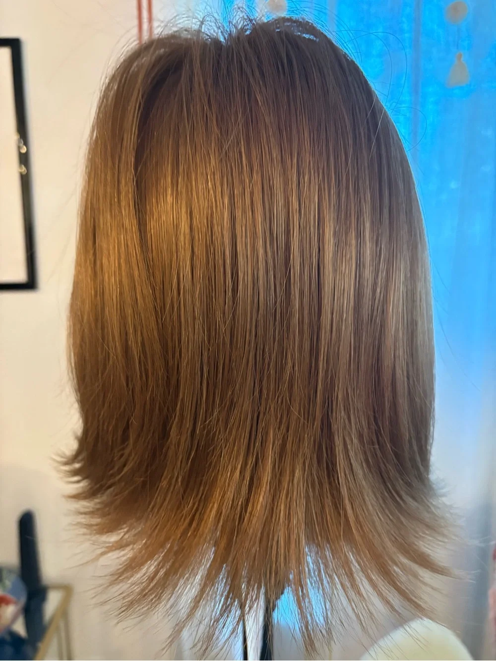 PAULA YOUNG New CHASE Auburn Brown Synthetic straight Bob! Tags! Basic Cap.